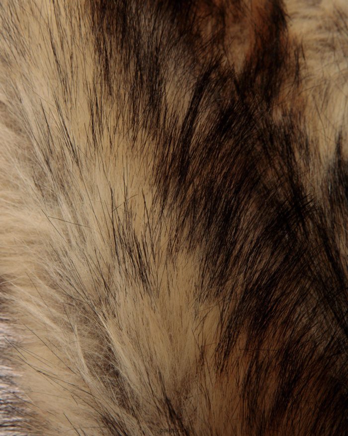 חום Bally צָעִיף נשים אביזרים AS12D144